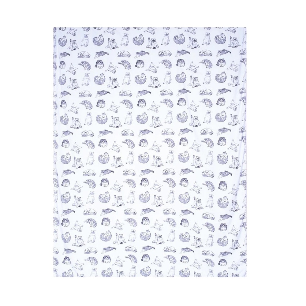 NEW Taylor Swift Duvet Sheet - Meredith & Olivia Cats